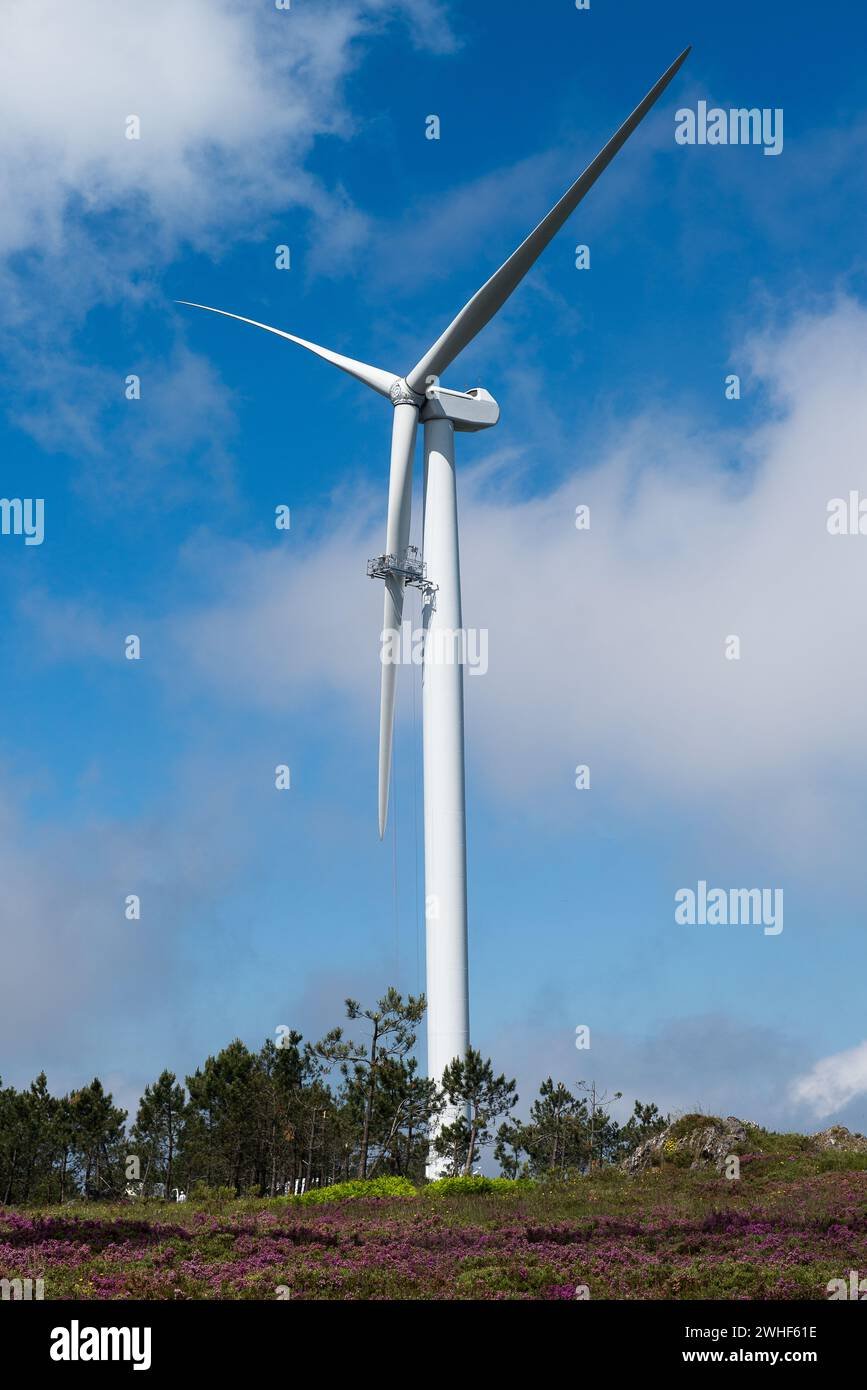 Maintenance & Longevity of Wind Power Systems Repower an Aging Fleet